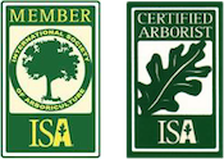 Tree Removal ISA Certified