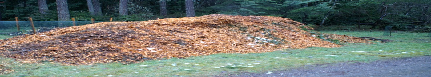 Wood Chip Pile - Allentown Tree Service